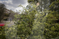 Man, 24, arrested over mass tree felling in Surrey
Police have been hunting suspect for a month, with up to 60 trees having been cut down