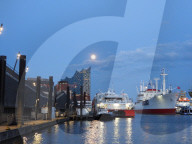 FEATURE - Pink Moon: Der Supermond über Hamburg