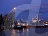 FEATURE - Pink Moon: Der Supermond über Hamburg