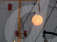 FEATURE - Pink Moon: Der Supermond über Hamburg