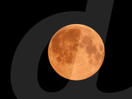 FEATURE - Pink Moon: Der Supermond über Hamburg