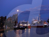 FEATURE - Pink Moon: Der Supermond über Hamburg