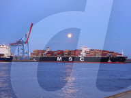 FEATURE - Pink Moon: Der Supermond über Hamburg