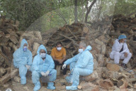 NEWS - Coronavirus: Einäscherung von Covid-19-Opfern, Ghaziabad, Uttar Pradesh, Indien