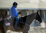 NEWS - Pferderennen: Vorbereitungen fürs Kentucky Derby vom Sonntag