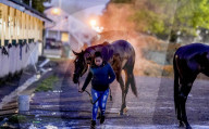 NEWS - Pferderennen: Vorbereitungen fürs Kentucky Derby vom Sonntag