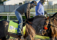 NEWS - Pferderennen: Vorbereitungen fürs Kentucky Derby vom Sonntag