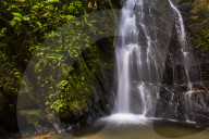 Cucharillos Waterfall in the Mashpi Cloud Forest area of the Choco Rainforest, Ecuador
