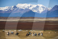 Horse trek on an estancia (farm), El Calafate, Patagonia, Argentina