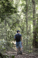 Tourist on a jungle trek in Gunung Leuser National Park, Bukit Lawang, North Sumatra, Indonesia