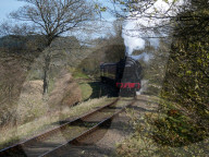 Staycation holidays across the UK are booming as lockdown eases but travel restrictions still apply when leaving the UK.