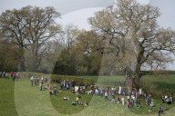 Activists fight to save 550-year-old oak threatened by new Shrewsbury road
