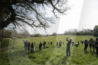 Activists fight to save 550-year-old oak threatened by new Shrewsbury road