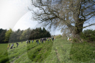 Activists fight to save 550-year-old oak threatened by new Shrewsbury road