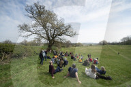 Activists fight to save 550-year-old oak threatened by new Shrewsbury road