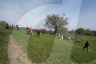 Activists fight to save 550-year-old oak threatened by new Shrewsbury road