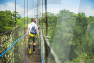 Amazon Rainforest Canopy Walk at Sacha Lodge, Coca, Ecuador, South America