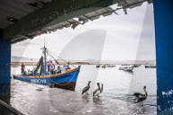 Fishing boat at fishing harbour in Paracas National Reserve (Reserva Nacional de Paracas), Ica, Peru