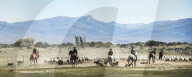 Gauchos riding horses to round up sheep, El Chalten, Patagonia, Argentina