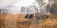 Farming between Inle Lake and Kalaw, Shan State, Myanmar (Burma)