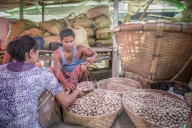Weighing potatoes in Mrauk U vegetable market, Rakhine State, Myanmar (Burma)