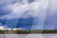 Amazon Rainforest storm, Coca, Ecuador, South America