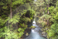 Hatea River landscape at the Whangarei Falls, a waterfall in the Northlands Region of North Island, New Zealand