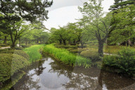 Stream with lush greenery and reflections, Kenrokuen, one of Japan's most beautiful landscape gardens in summer, Kanazawa, Japan, Asia