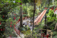 Oriental garden, Monte Palace Tropical Garden, one of Madeira's most famous, Monte, Funchal, Madeira, Atlantic, Portugal, Europe
