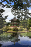 Hyangwonjeong, hexagonal pavilion reflected in water lily filled lake, Gyeongbokgung Palace, Summer, Seoul, South Korea