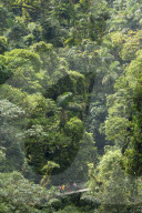 Mistico Arenal Hanging Bridges
