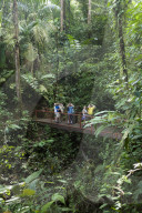 Mistico Arenal Hanging Bridges birdwatchers
