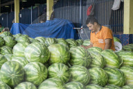 Watermelon seller