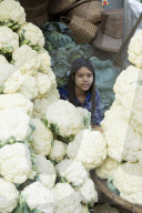Asia, Southeast Asia, Myanmar, Monywa, market, cauliflowers
