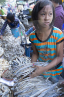 Asia, Southeast Asia, Myanmar, Monywa, market, dried fish