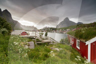 Green grass and flowers frame the typical Rorbu surrounded by sea, Reine, Nordland county, Lofoten Islands, Arctic, Northern Norway, Scandinavia, Europe