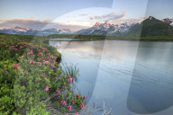 Rhododendrons surround Mount Cardine reflected in Lake Andossi at sunrise Chiavenna Valley Valtellina Lombardy Italy Europe