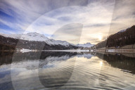 Snowy peaks and woods are reflected in Lake Silvaplana at sunset Maloja Canton of GraubÃ¼nden Engadine Switzerland Europe