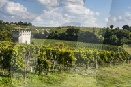 Overlook over the vineyards, Unesco world heritage sight, Saint Emilion, France