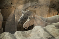 Terracotta Army, Warriors, Xi'an, Asia, Dynasty, horses