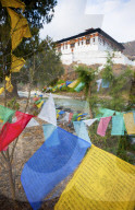 Prayer flags and Rinpung Dzong