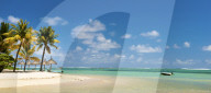 Turquoise sea and white palm fringed beach