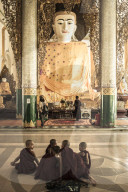 Novice monks who have just performed Shin Pyu at Shewdagon Paya, Yangon (Rangoon), Myanmar (Burma), Asia
