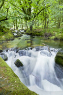 River Fowey, Goliath Falls, Looe, Cornwall, United Kingdom