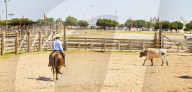 Cowboy in Fort Worth Stockyards, Texas, USA