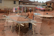 Cocoa Farmer 1 (Elderly man). Name: John Essel.Age: 60 yrs.Name of Community: Abamkrom.