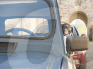 A dog waits patiently for it's owner in a classic French Renault 4