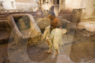 The dyeing vats at the tannery in the old town of Fes, Morocco