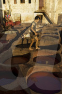 The dyeing vats at the tannery in the old town of Fes, Morocco