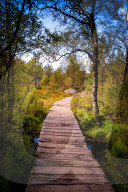 Hiking to Pulpit Rock